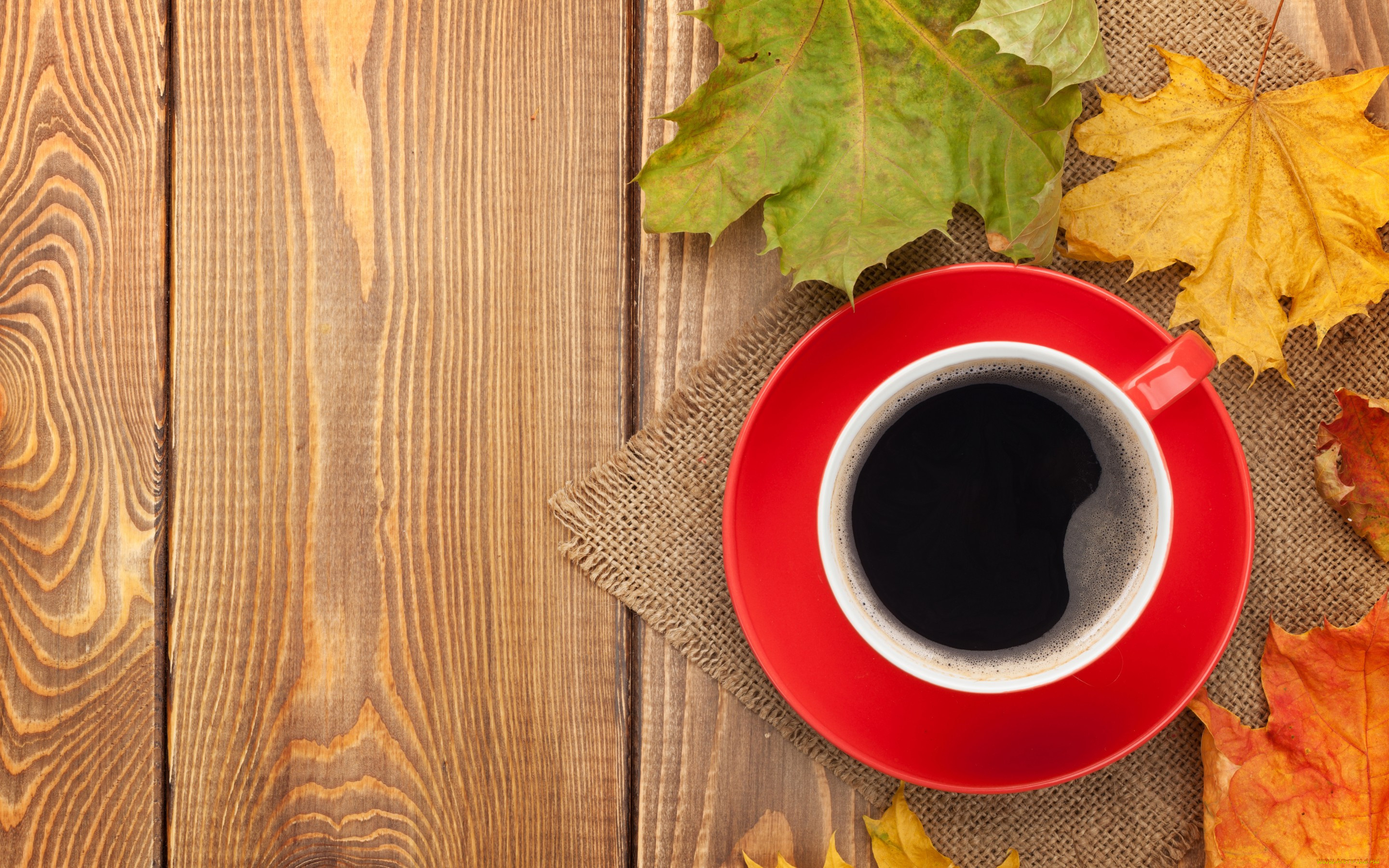 , ,   , cup, maple, coffee, , , leaves, fall, autumn, , , 